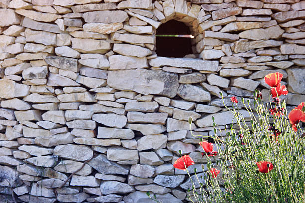 istock Red poppies and the wall 178554497