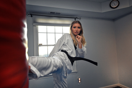 Martial artist kicking a punching bag.