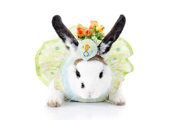 istock funny rabbit with green dress and hat 178556420