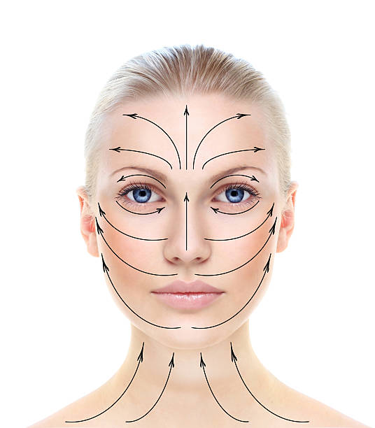 istock Beautiful woman's face with massage lines. 178556503