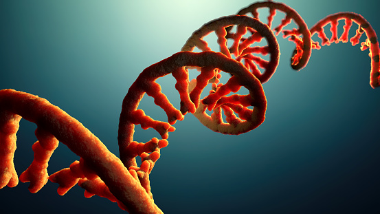 3D rendering ，Helical DNA structures