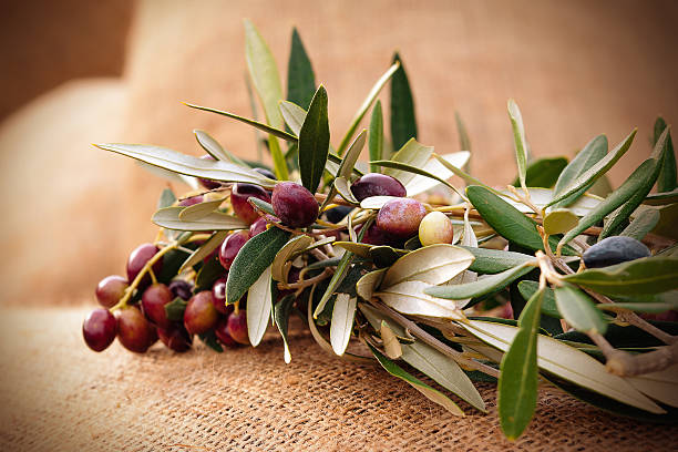 Olives on a sack stock photo