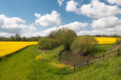 Suffolk spring landscape. Hadleigh, Suffolk, UK.