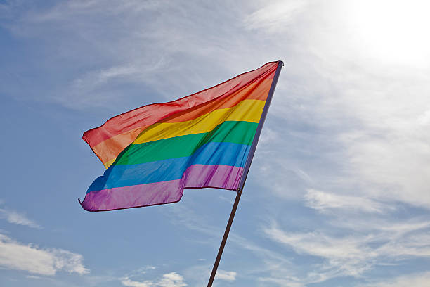 istock Gay pride flag shines bright 178558703