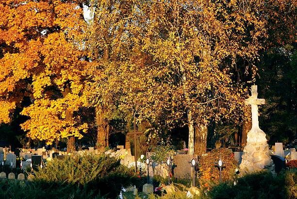 istock autumn pictureque scenery in cemetery 178560237