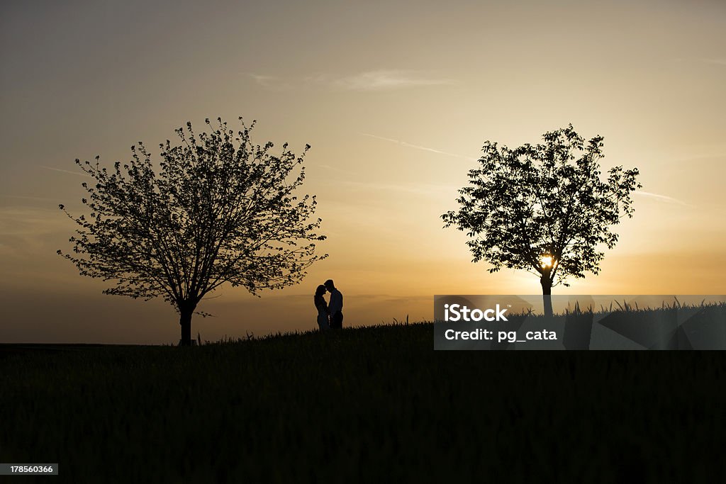 silhouette del ritratto - Foto stock royalty-free di Abbracciare una persona