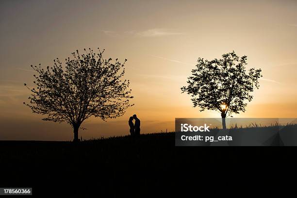 Silhouette Del Ritratto - Fotografie stock e altre immagini di Abbracciare una persona - Abbracciare una persona, Adulto, Affettuoso