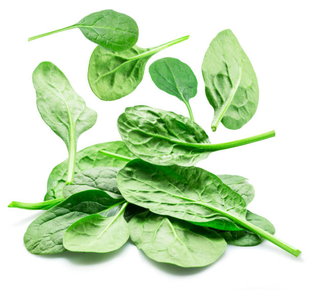 istock Green fresh spinach leaves falling down isolated on white background. 1785604835