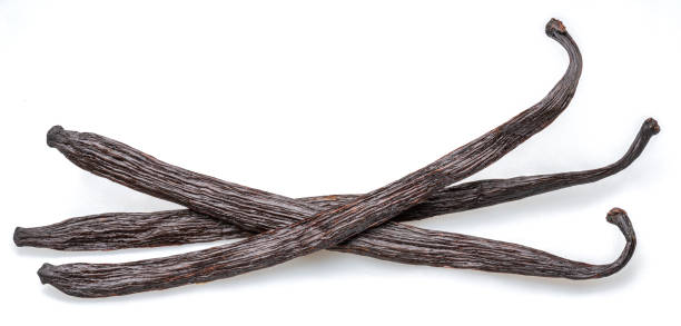 istock Dry vanilla fruit beans or vanilla sticks isolated on white background. 1785604848