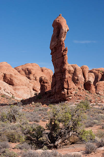 istock Rock Pinnacles in Arches National Park 178561135