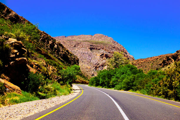 40+ Outeniqua Park fotos de stock, imagens e fotos royaltyfree iStock