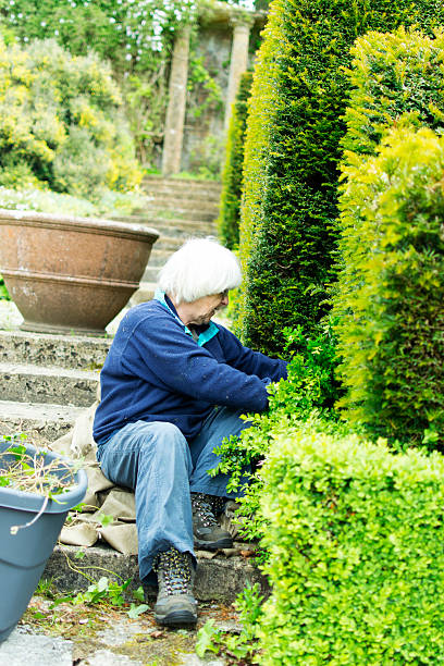 istock Gardener attending to the box 178561547