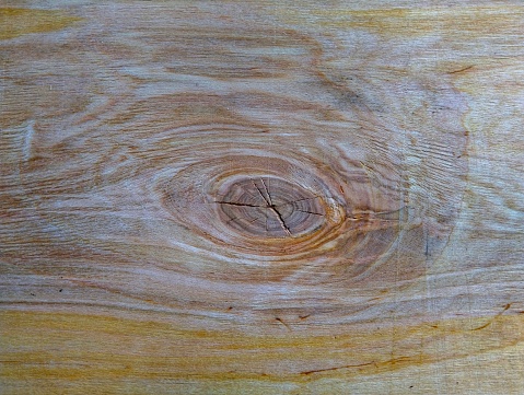 Wooden background, knot on a sheet of plywood