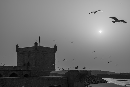 View of the walls, with seagulls, in the medina of Essaouira (Mogador), Morocco