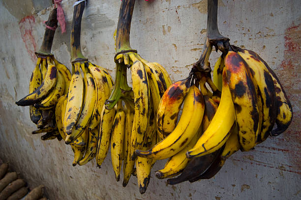 Bananas for sale stock photo