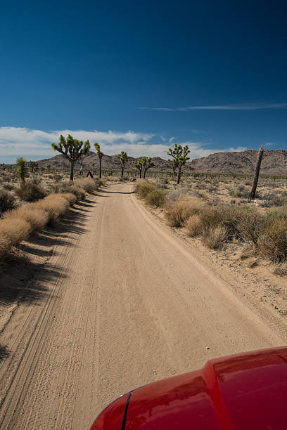 Joshua Tree National Park, California stock photo