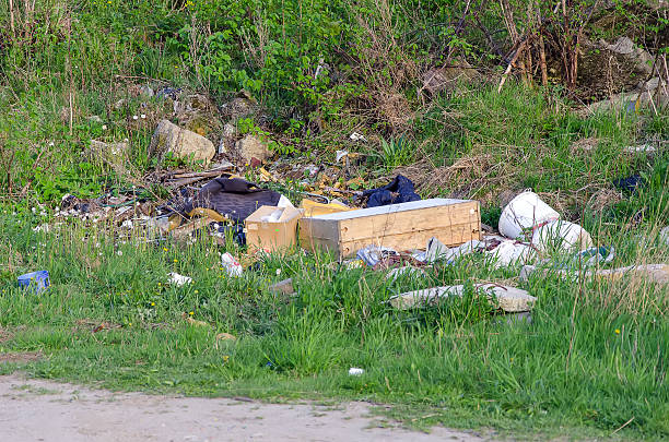 istock Garbage near the road in forest 178564588