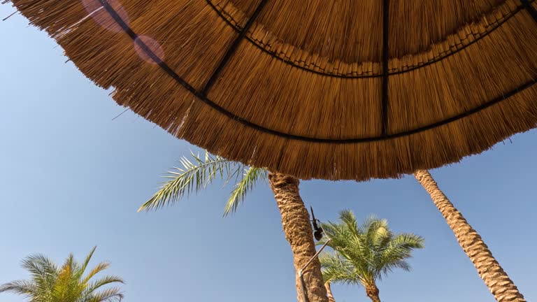 Beach umbrella. Beach umbrella and sunbed on sandy coast near sea. Sea resort. Seaside. vacation concept.