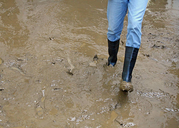 istock black boots in the mud of flood 178565012