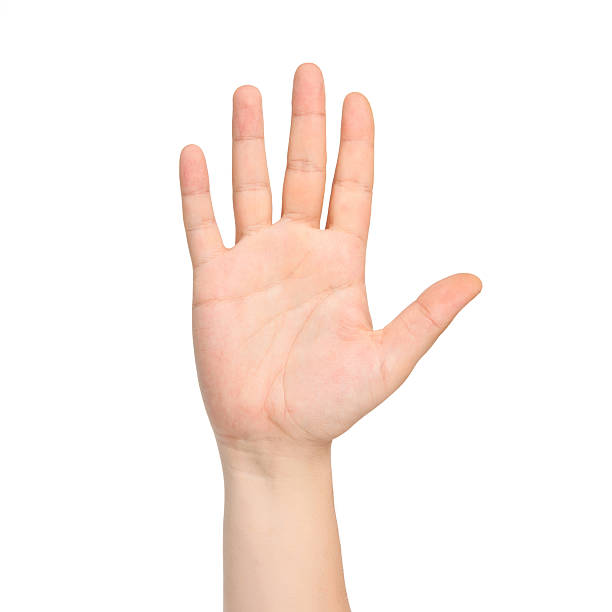 mano maschile isolato, mostrando il numero cinque - palmo foto e immagini stock