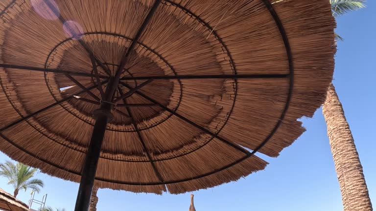 Beach umbrella. Beach umbrella and sunbed on sandy coast near sea. Sea resort. Seaside. vacation concept.