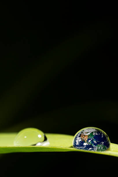 istock leaf with rain droplets（Recovery - earth concept ） 178565884