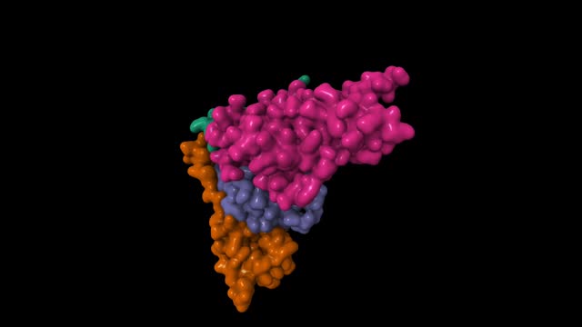 Structure of Von Hippel-Lindau disease tumor suppressor (VHL, green)-transcription elongation factor B (EloB, brown, blue)-Cullin 2 (Cul2, purple)