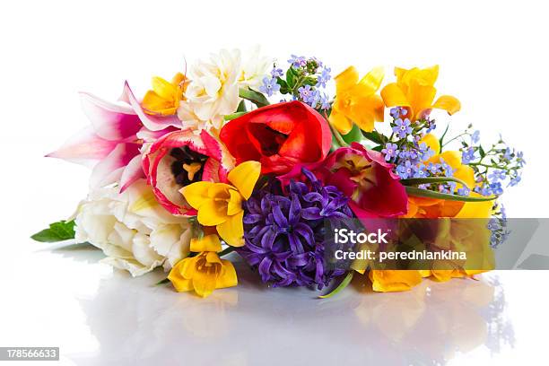 花束 - クロッカスのストックフォトや画像を多数ご用意 - クロッカス, チューリップ, ラッパズイセン