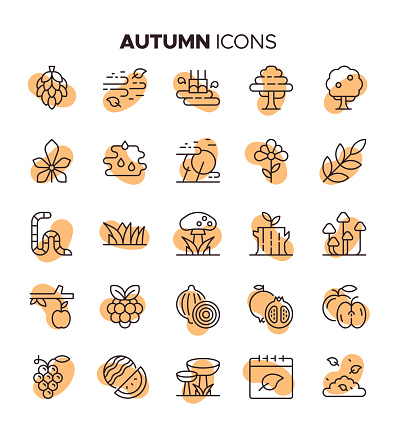 Capture the essence of fall with the Colorful Autumn Icon Set, featuring 25 beautifully crafted icons that evoke the warmth and vibrancy of the season. From rustic pumpkins to golden leaves, each icon is a visual celebration of autumn's rich palette. Elevate your design projects with these lively and versatile icons, perfect for adding a touch of seasonal charm to websites, apps, social media posts, and more. Embrace the spirit of autumnal creativity with this delightful and diverse icon set, curated to infuse your designs with the colors of fall.