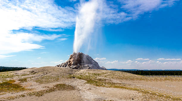 istock White Dome Geyser erupts. Yellowstone National Park 178566935