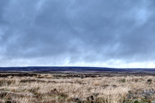 A brooding sky forms above West Yorkshire moorland near the town of Ilkley. Grasses and heather can be seen in the foreground.