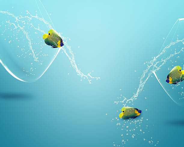 istock angelfish jumping out of  fishbowl 178568062