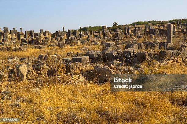 Руины Volubilis — стоковые фотографии и другие картинки Аист - Аист, Арка - архитектурный элемент, Археология