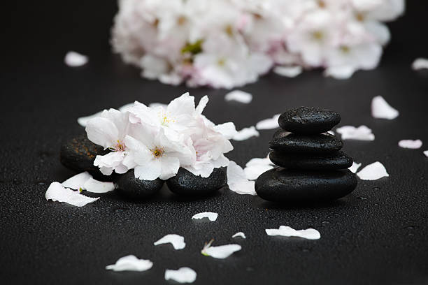 istock Zen stones and cherry blossoms 178568611