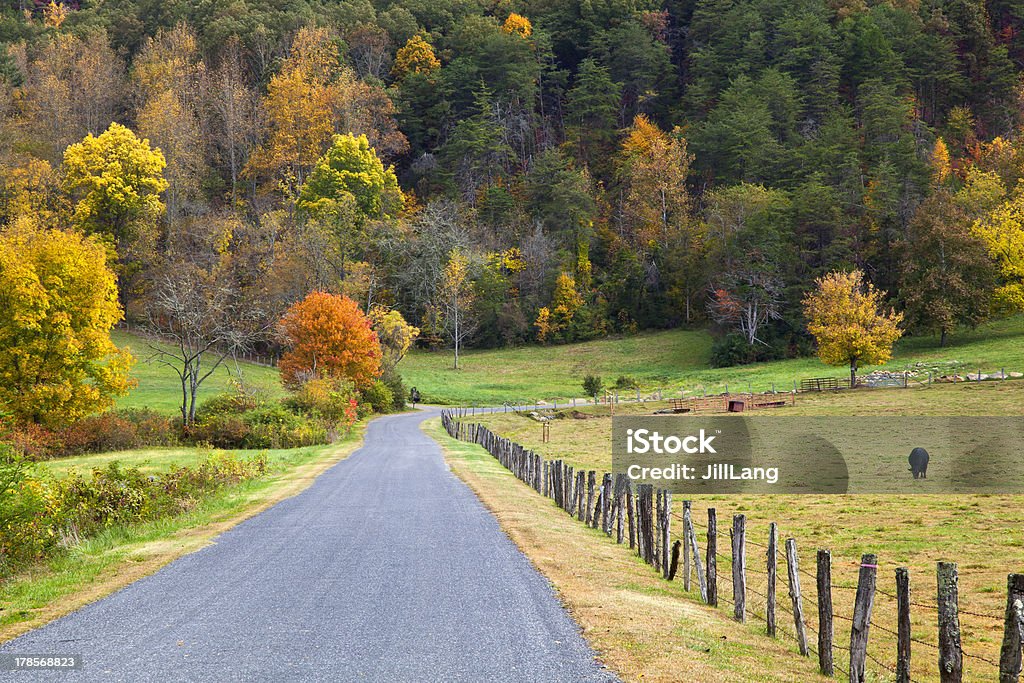 Cow Pasture in the Fall Cow pasture by the road with fence in autumn Agricultural Field Stock Photo