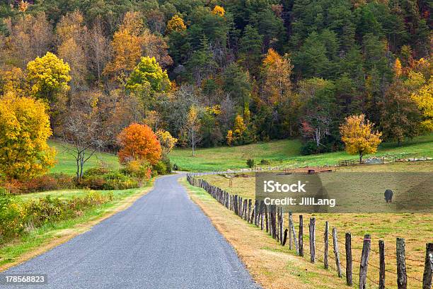 Cow Pasture In The Fall Stock Photo - Download Image Now - Agricultural Field, Agriculture, Animal