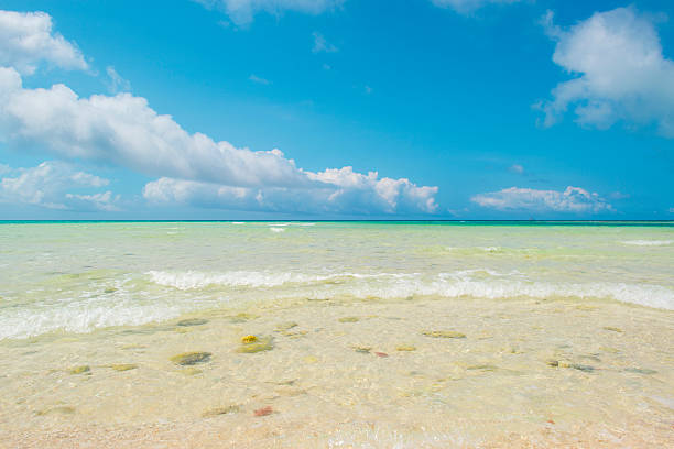 istock Beautiful beach at Japan 178568830