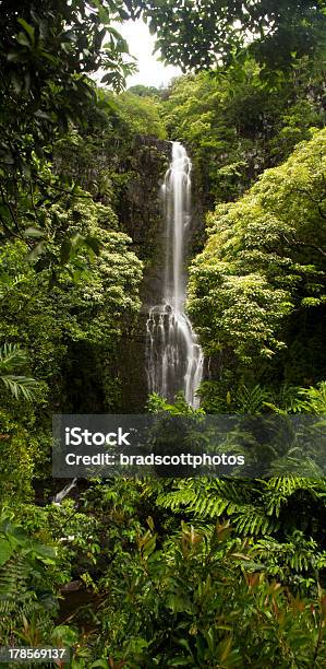 Hawaiian Cascada De Foto de stock y más banco de imágenes de Agua - Agua, Aire libre, Bosque