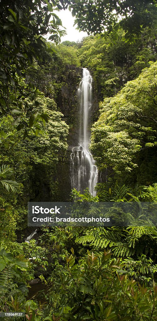 Cascade de Hawaï - Photo de Cascade libre de droits