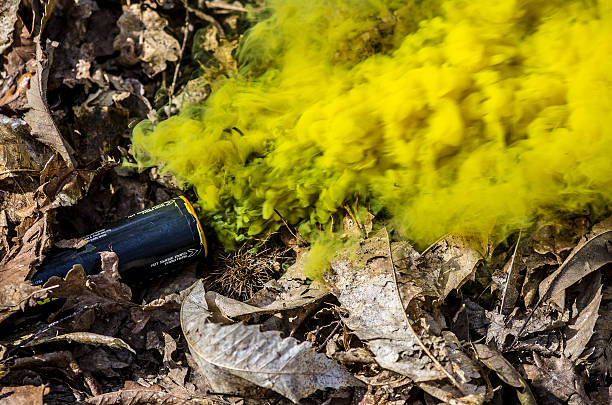 Smoke grenade discharging yellow on a bed of dry leaves stock photo