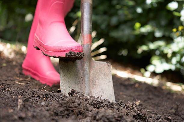 istock Woman digging in garden 178570065