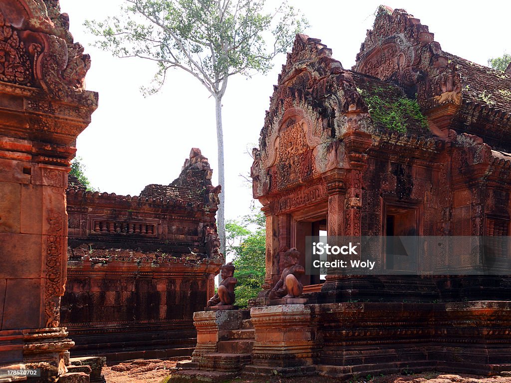 Banteay Srey, Camboya - Foto de stock de Aire libre libre de derechos