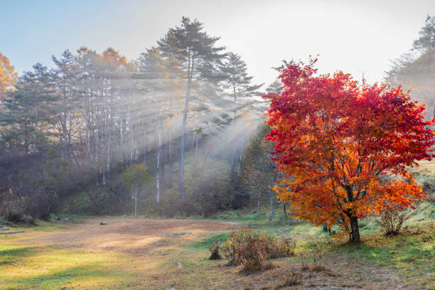 Autumn scenery of the Japanese highlands
