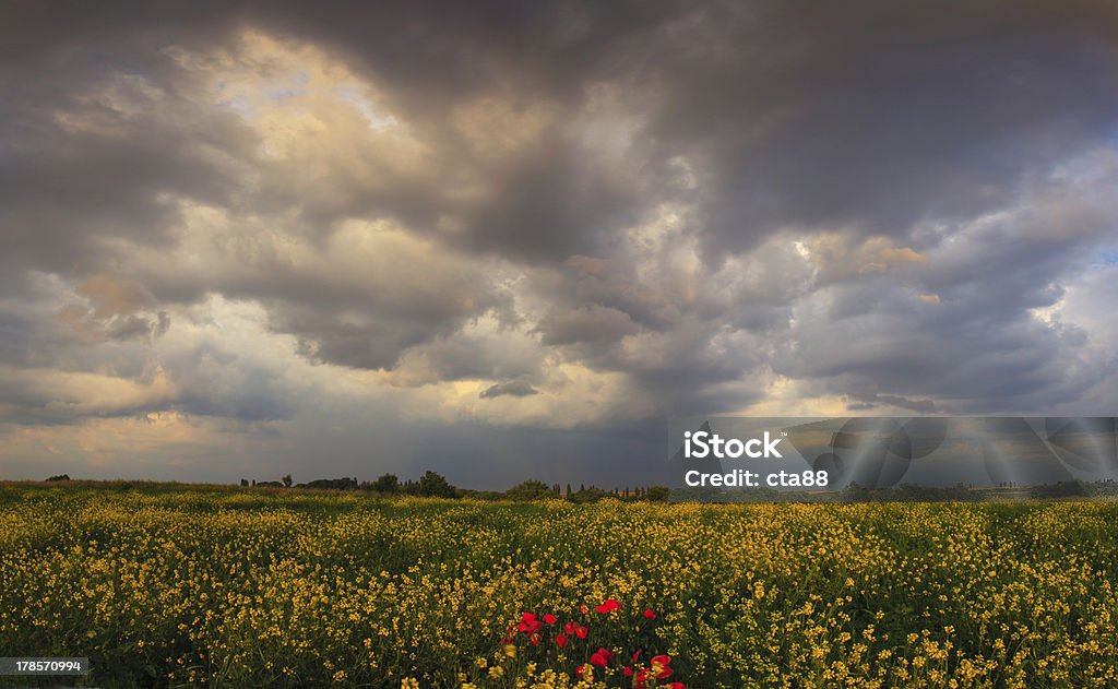 Drammatico cielo di sera storm - Foto stock royalty-free di Agricoltura