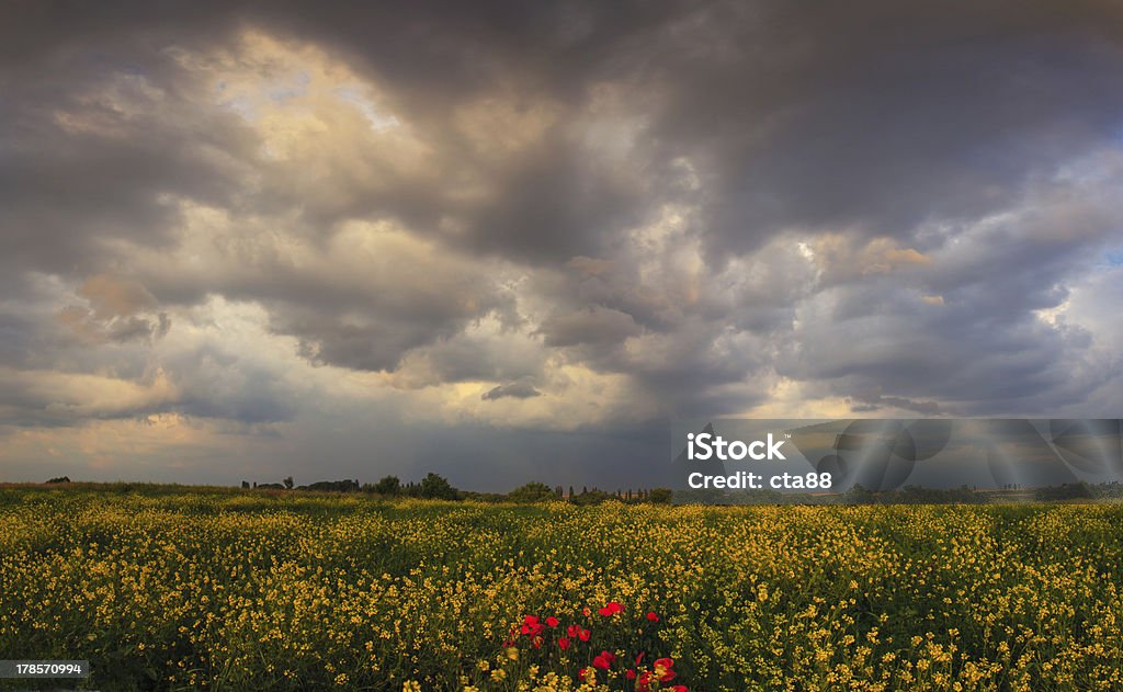 Dramático noite céu de tempestade - Foto de stock de Agricultura royalty-free