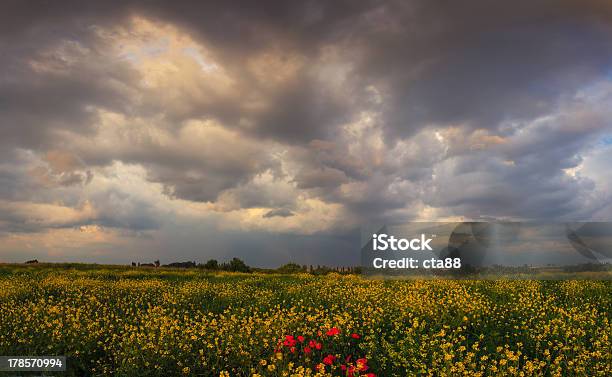 Foto de Dramático Noite Céu De Tempestade e mais fotos de stock de Agricultura - Agricultura, Azul, Botânica - Assunto