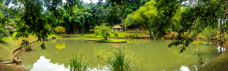 Royal Botanical Gardens of Peradeniya in Sri Lanka