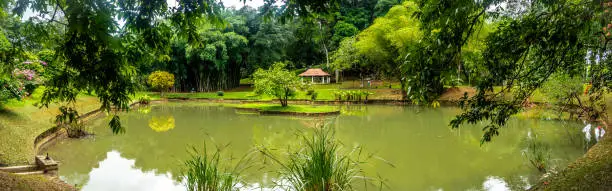 Photo of Royal Botanical Gardens of Peradeniya in Sri Lanka