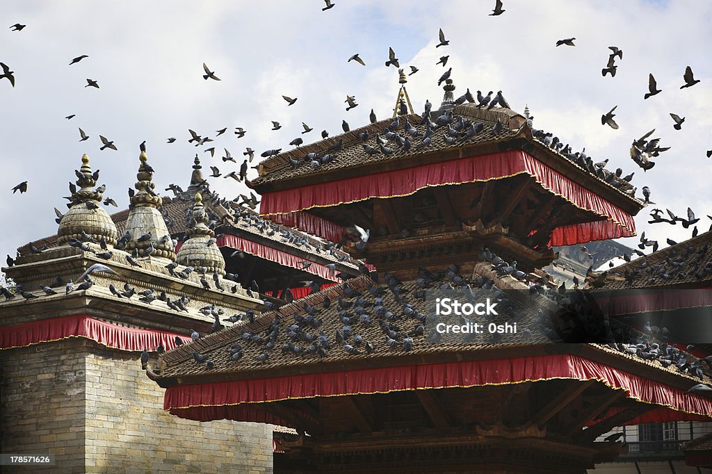 Tauben auf Patan - Lizenzfrei Architektur Stock-Foto