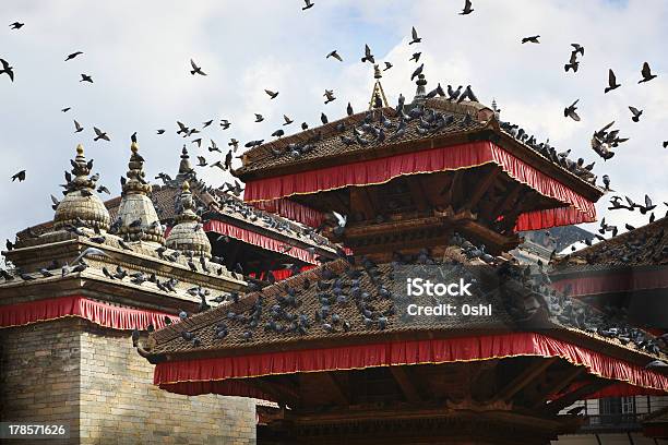 Tauben Auf Patan Stockfoto und mehr Bilder von Architektur - Architektur, Asien, Außenaufnahme von Gebäuden